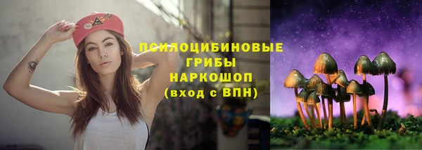 гашик Карталы