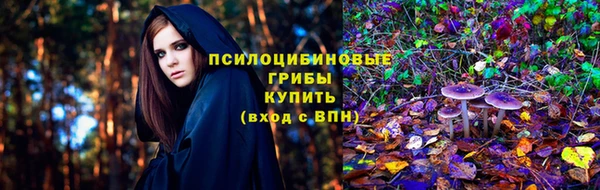 гашик Карталы